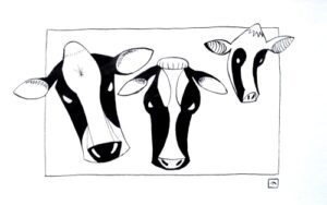 Pen-and-ink-drawing-a-cow