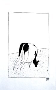 Pen-and-ink-drawing-cow-