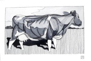 Pen-and-ink-drawing-cow-