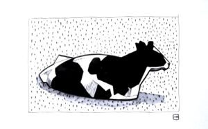 Pen-and-ink-drawing-cow-