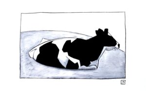 Pen-and-ink-drawing-cow