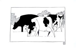 Pen-and-ink-drawing-of-a-cow-