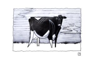 Pen-and-ink-drawing-of-a-cow-