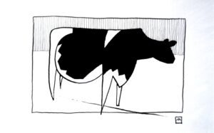 Pen-and-ink-drawing-of-a-cow-