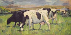 erw-fawr-farm-llanfachraeth