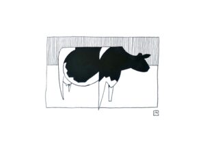 Pen-and-ink-drawing-a-cow-III